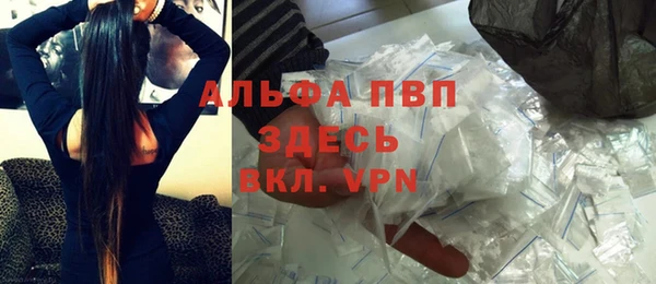хмурый Аркадак