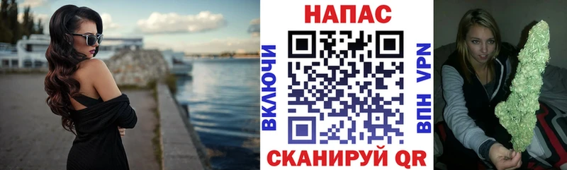 Конопля марихуана  Павловская 